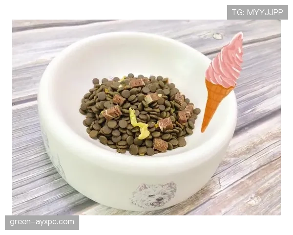 贝林厄姆家冰箱里塞满蛋白粉，连狗粮都是定制的